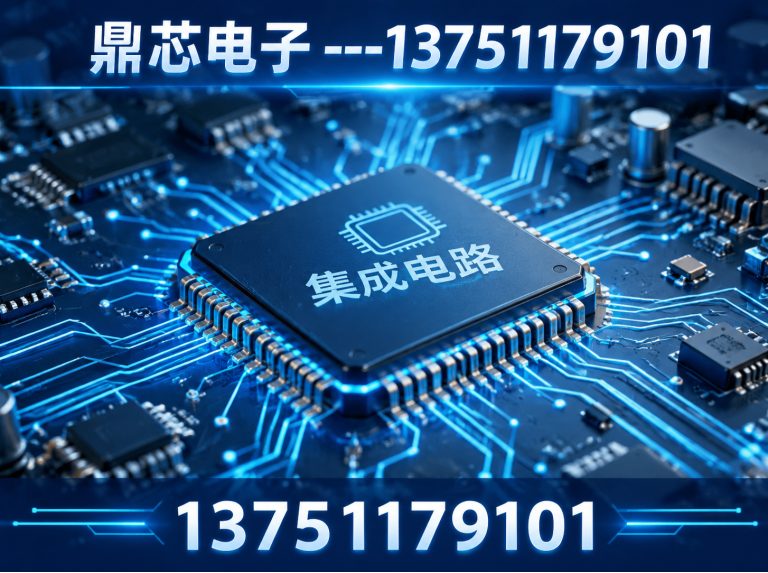 海口鼎芯电子展示图